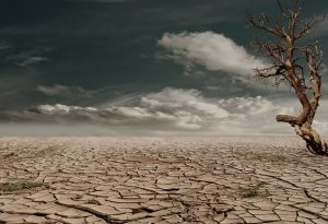 viver no deserto 300x205 - E o menino crescia e se fortalecia em espírito.E viveu no deserto - 4 Coisas Que Você Precisa Saber Para Fortalecer-se Em Espírito