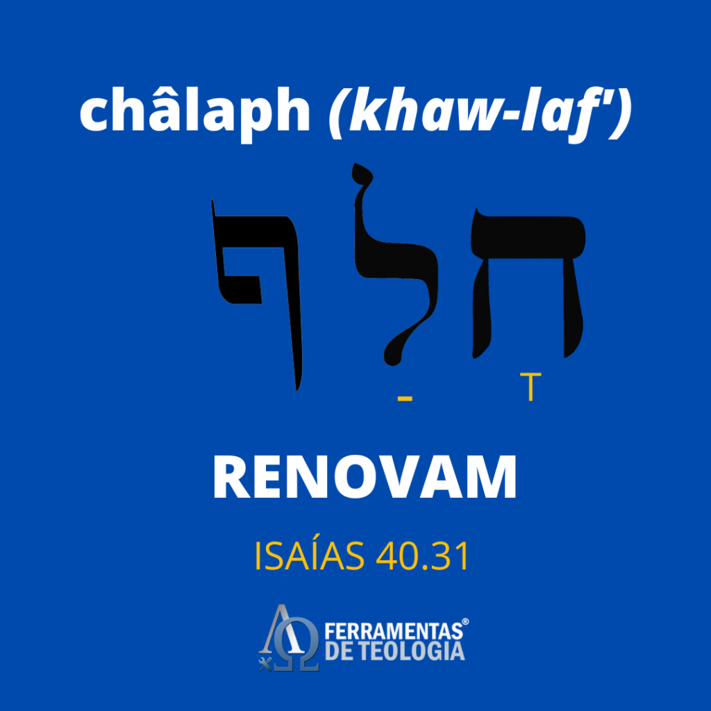RENOVAM 1024x1024 - Isaias 40. 28- 31 – Os que esperam no Senhor renovam as suas forças